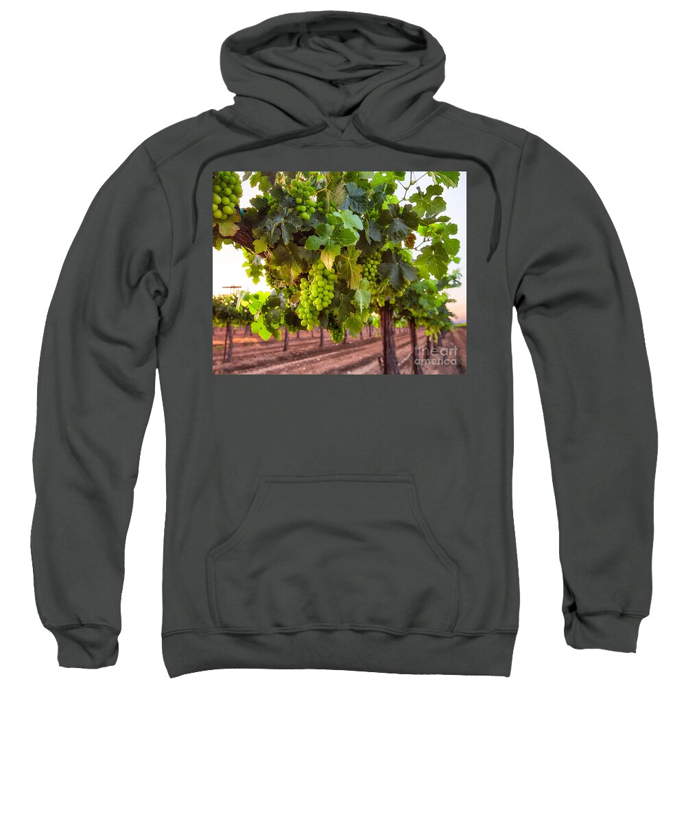 Vineyard Sweatshirt featuring the photograph Vineyard 3 by Anthony Michael Bonafede