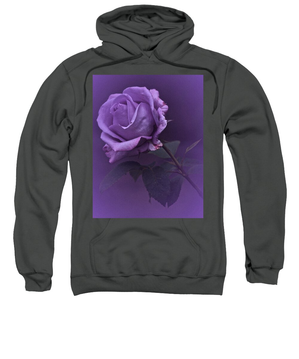 Purple Rose Sweatshirt featuring the photograph Vintage 2017 Purple Rose by Richard Cummings