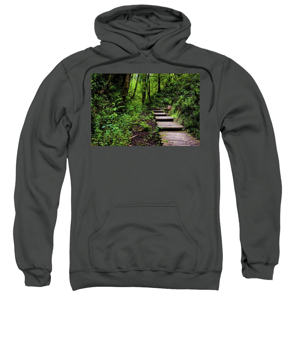 Park Sweatshirt featuring the photograph Walk in the Park by Aashish Vaidya