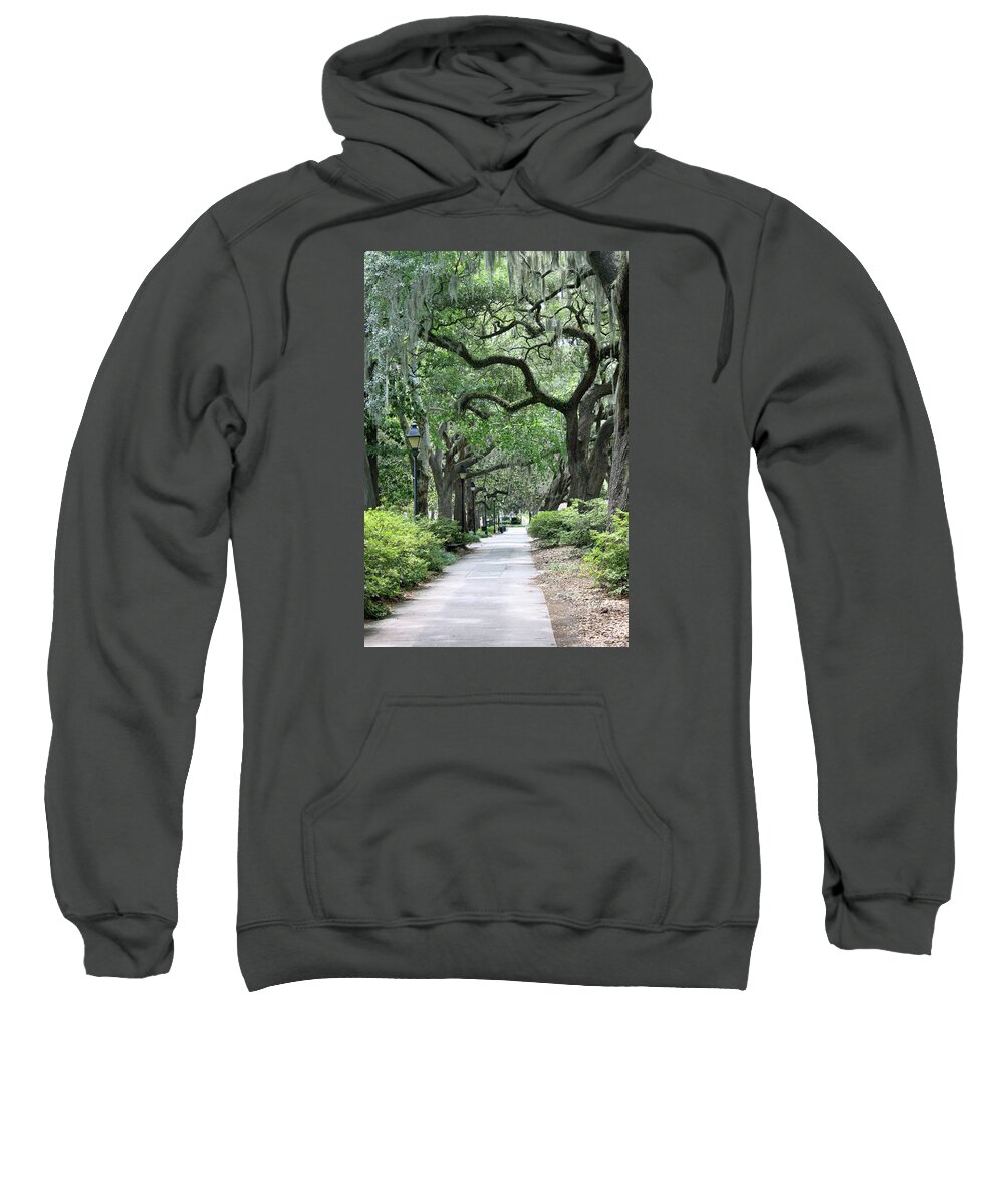 South Sweatshirt featuring the photograph Walking in the Park by Suzanne Gaff