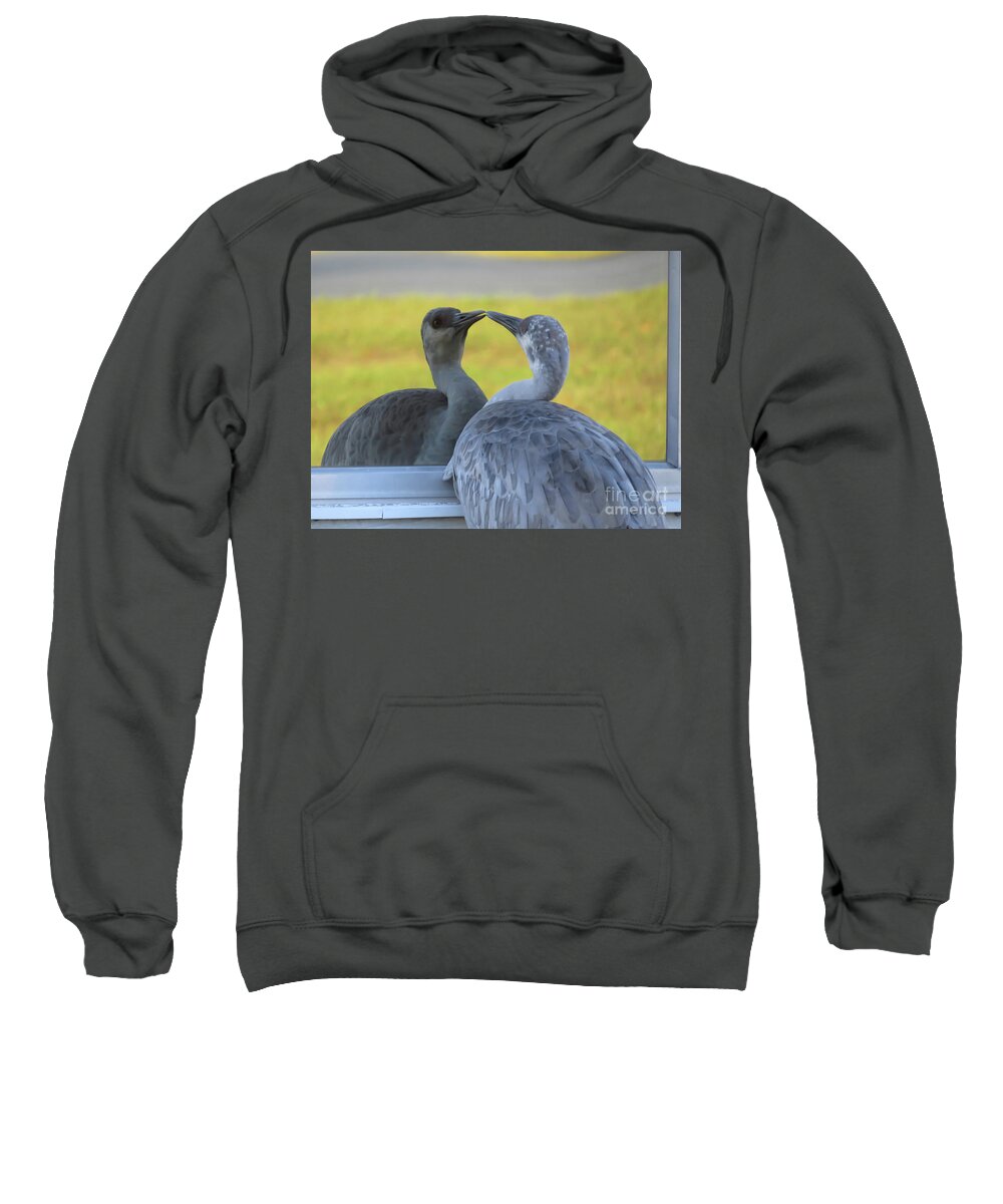 Sandhill Crane Sweatshirt featuring the photograph Watching himself by Zina Stromberg