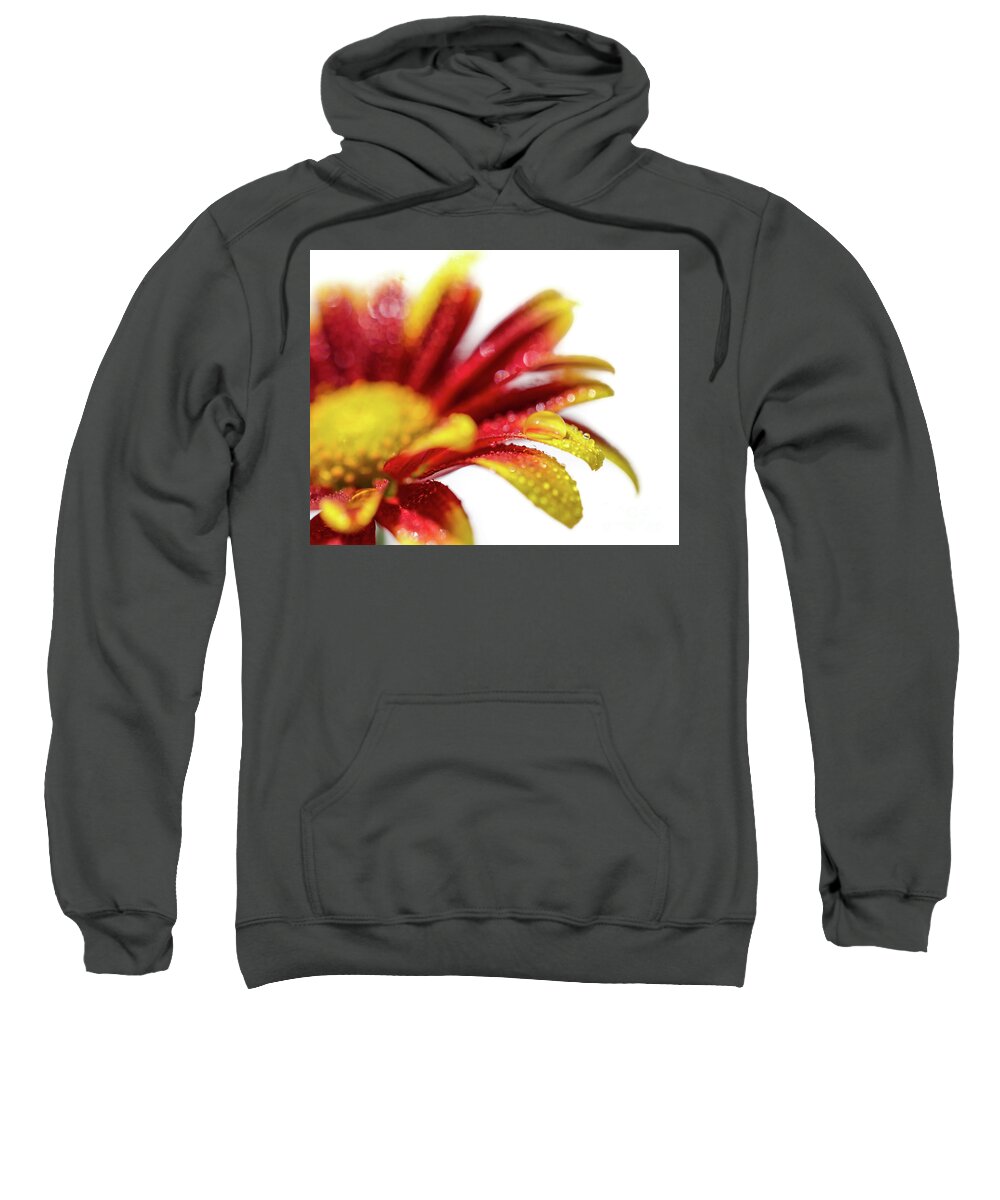 Mum Sweatshirt featuring the photograph Water Droplets On Mum Petals Nature / Botanical / Floral Photograph by PIPA Fine Art - Simply Solid