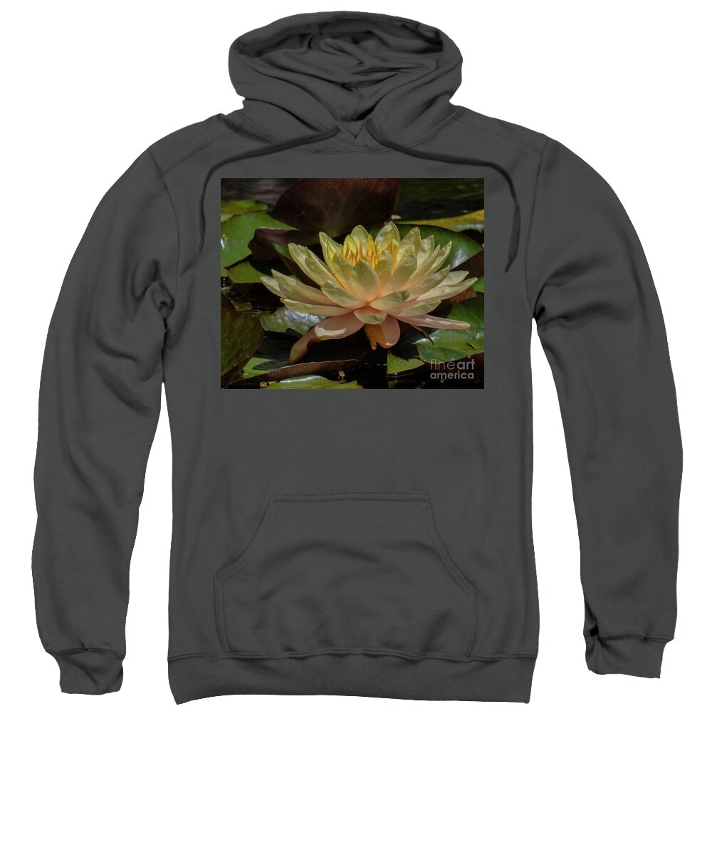 Hawaii Sweatshirt featuring the photograph Water Lily 1 by Christy Garavetto