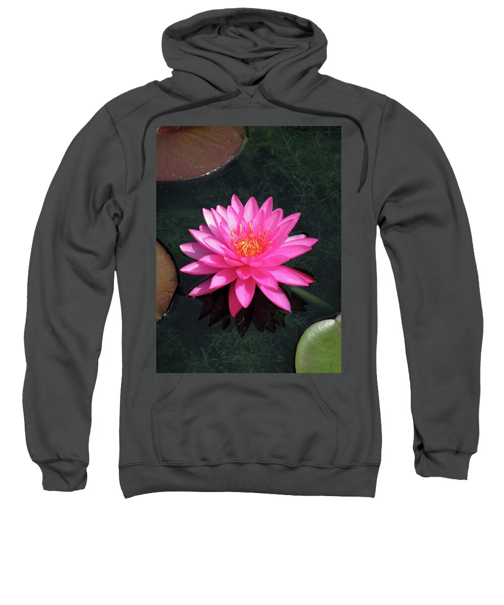 Water Lily Sweatshirt featuring the photograph Water Lily 02 - Afternoon Delight by Pamela Critchlow