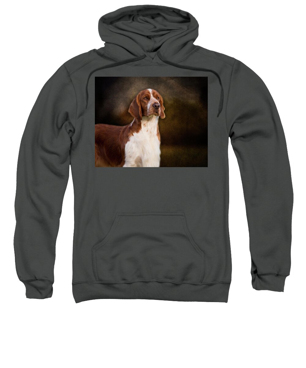Welsh Springer Spaniel Sweatshirt featuring the photograph Welsh Springer Spaniel by Diana Andersen