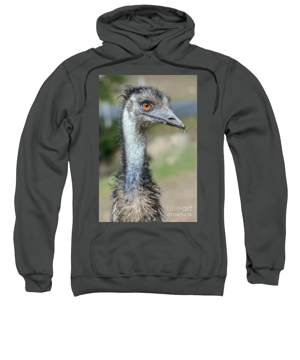 Wildlife Sweatshirt featuring the photograph Emu 2 by Werner Padarin