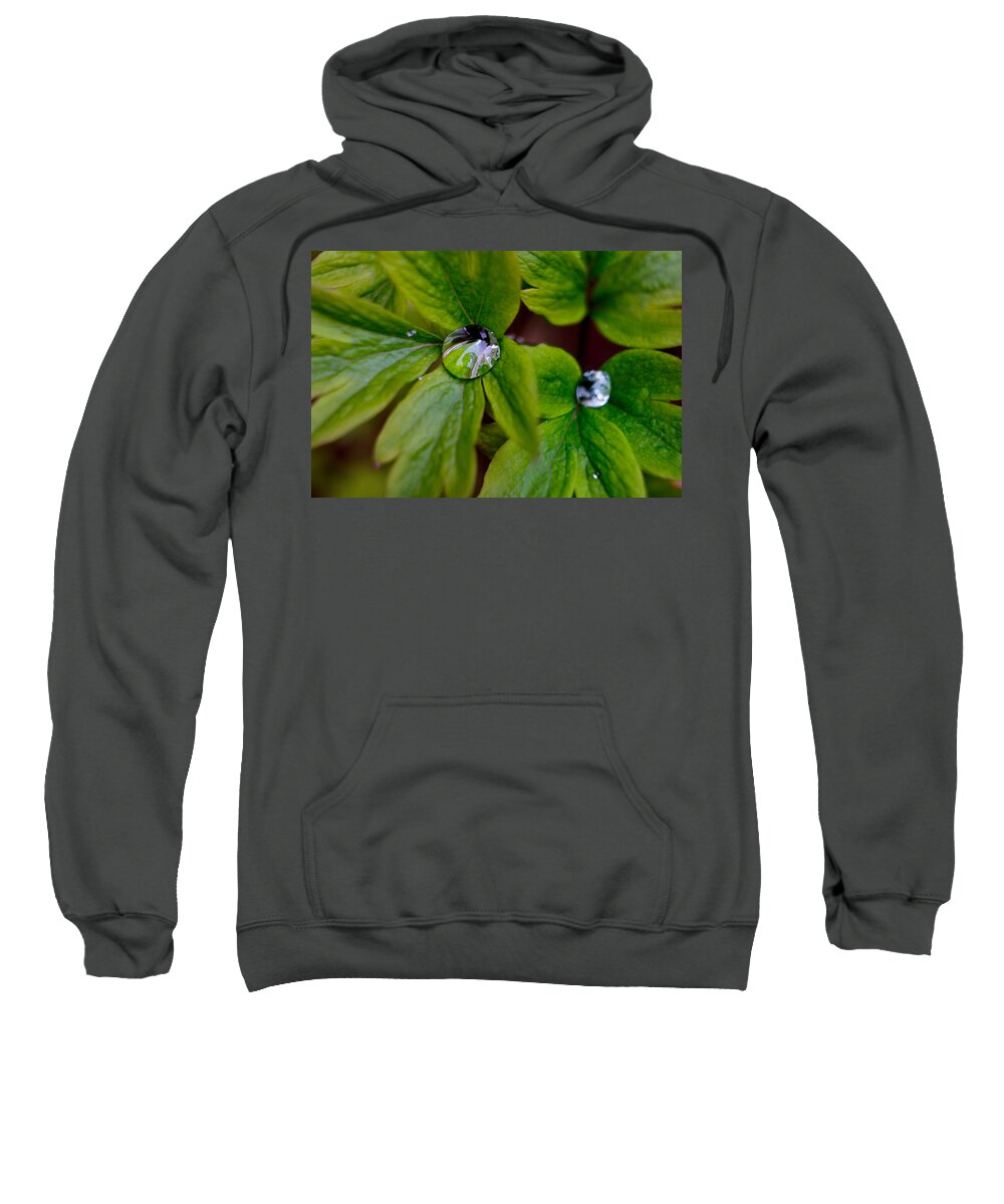 Leaf Sweatshirt featuring the photograph Wet Bleeding Heart Leaves by Brent L Ander