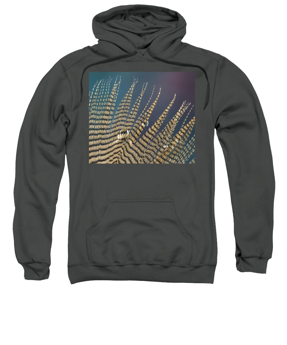 Feather Sweatshirt featuring the photograph Wet Drop on Wood Duck Feather by Jean Noren