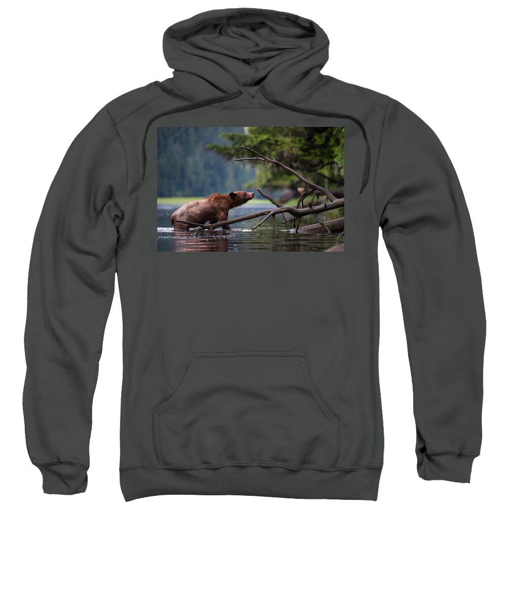 Bears Sweatshirt featuring the photograph Wet Grizzly by Bill Cubitt