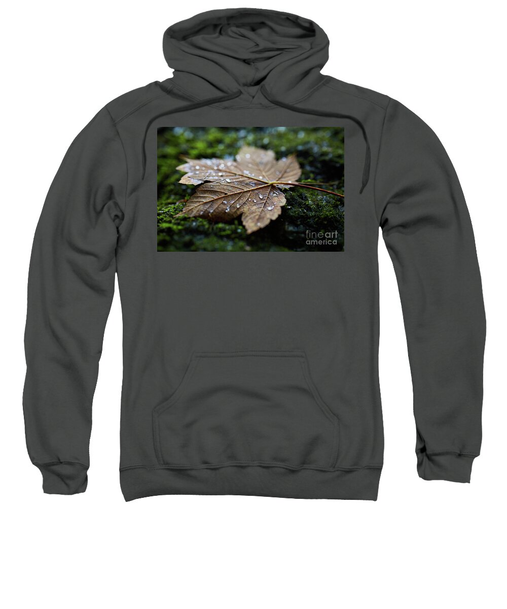 Leaf Sweatshirt featuring the photograph Wet maple leaf closeup by Ragnar Lothbrok
