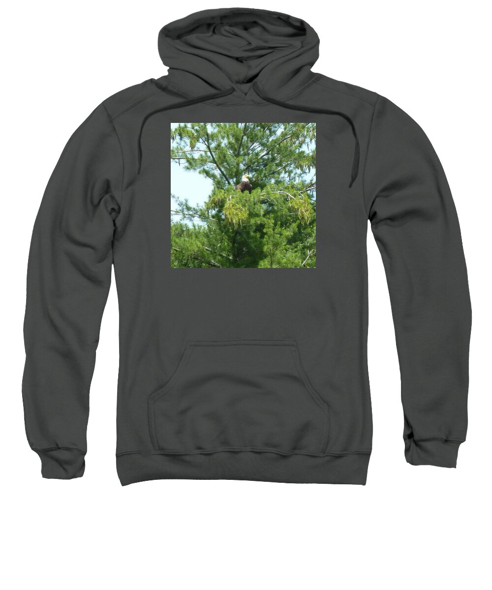 Summer Sweatshirt featuring the photograph 4th Of July by Charlotte Cooper