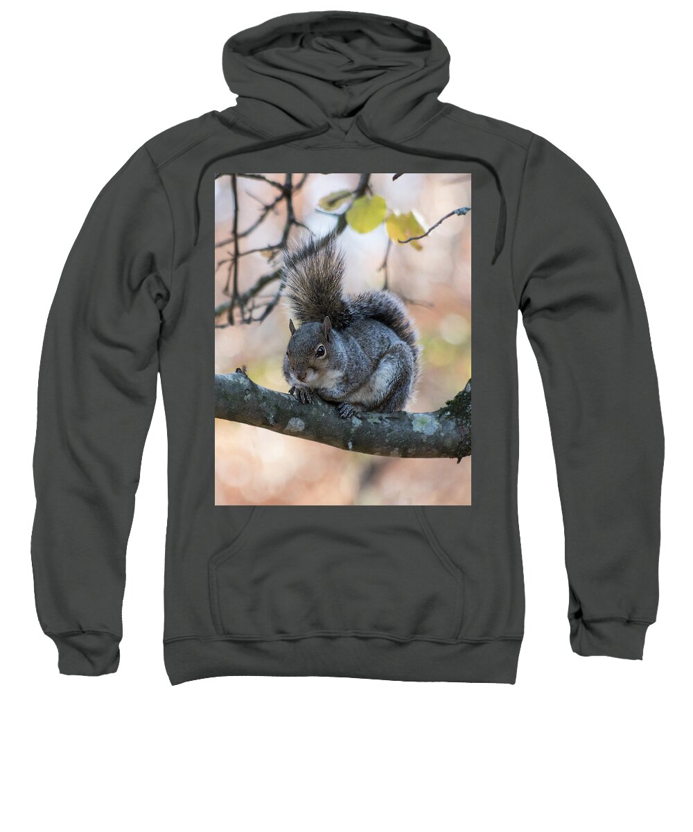 Animal Sweatshirt featuring the photograph What's Up? by M Three Photos