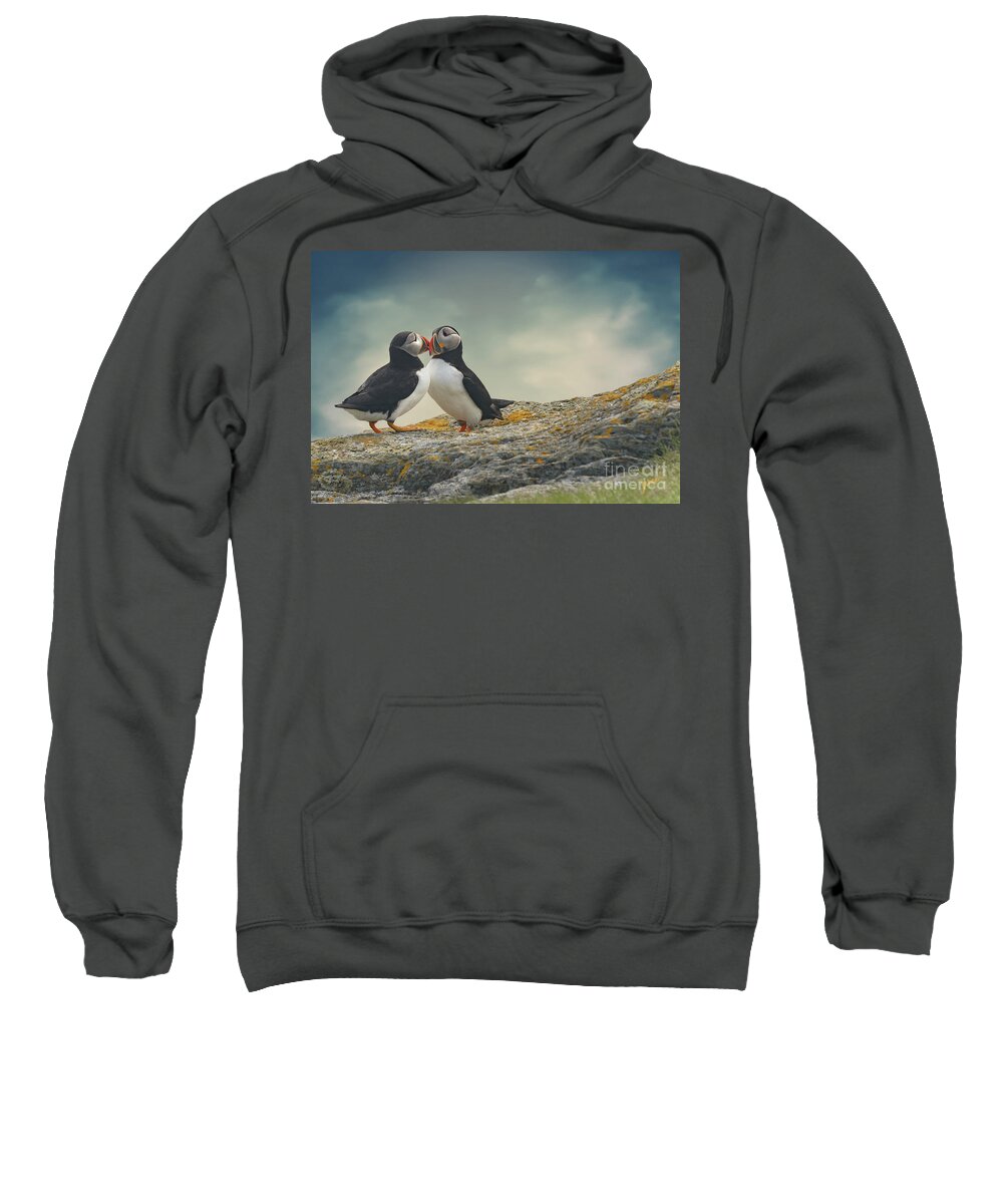 Puffin Sweatshirt featuring the digital art Taylor and Kelcie by Jim Hatch