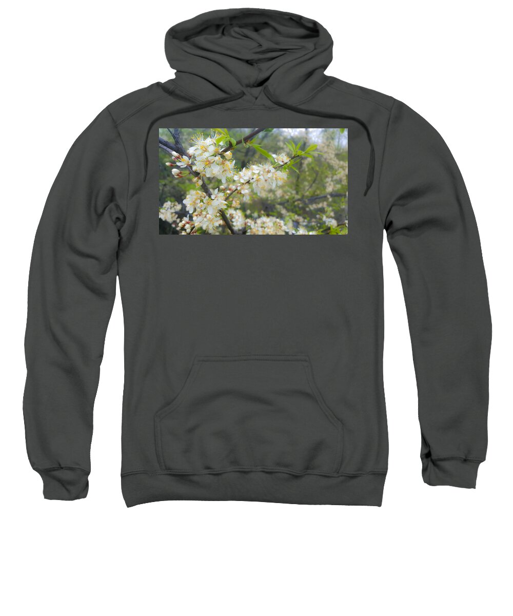 Flowers Sweatshirt featuring the photograph White Blossoms on Fruit Tree by Lynn Hansen