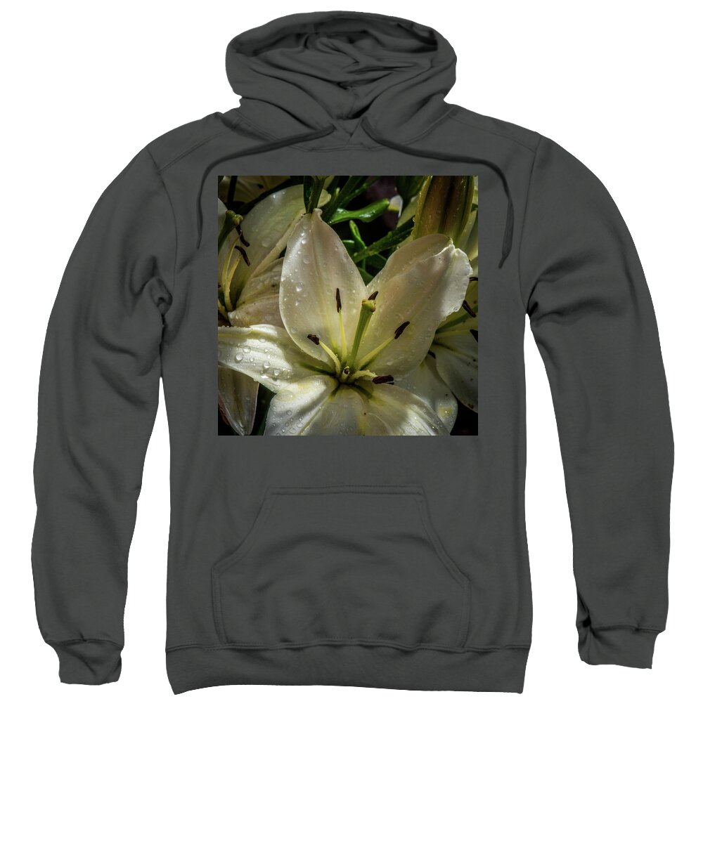 Bloom Sweatshirt featuring the photograph White Lily by Paul Freidlund