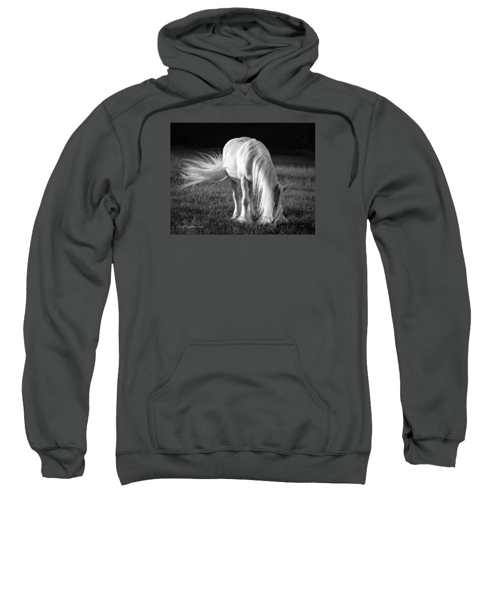 Equine Sweatshirt featuring the photograph White on Black and White by Terry Kirkland Cook