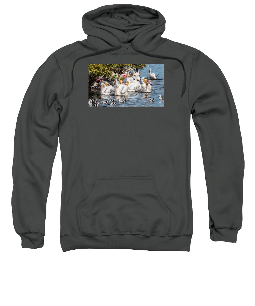 White Pelicans Sweatshirt featuring the photograph White Pelicans and Others by Dorothy Cunningham