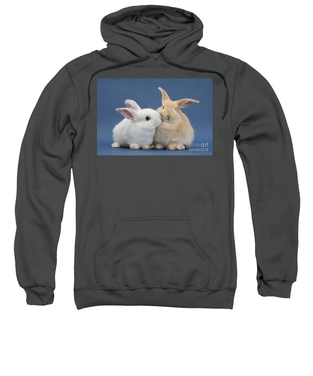 Nature Sweatshirt featuring the photograph White Rabbit And Sandy Rabbit by Mark Taylor