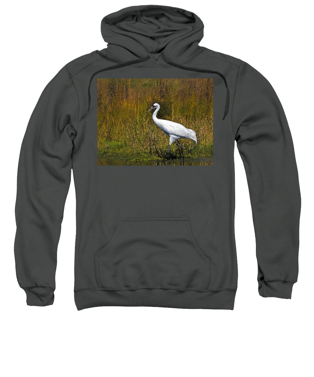 Whooping Crane Sweatshirt featuring the photograph Whooping Crane by Al Mueller