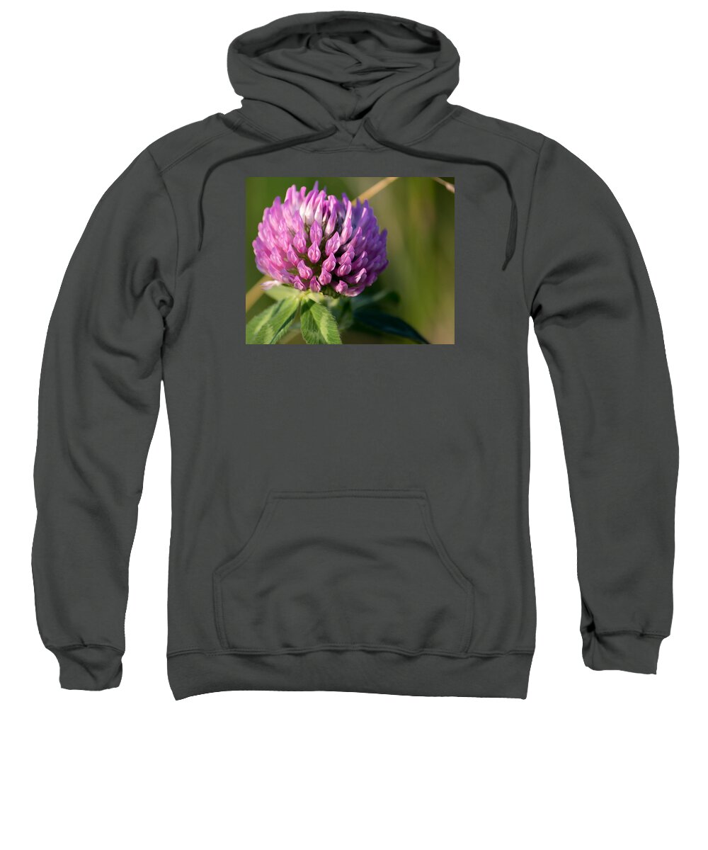 Flower Sweatshirt featuring the photograph Wild Flower Bloom by Marc Champagne