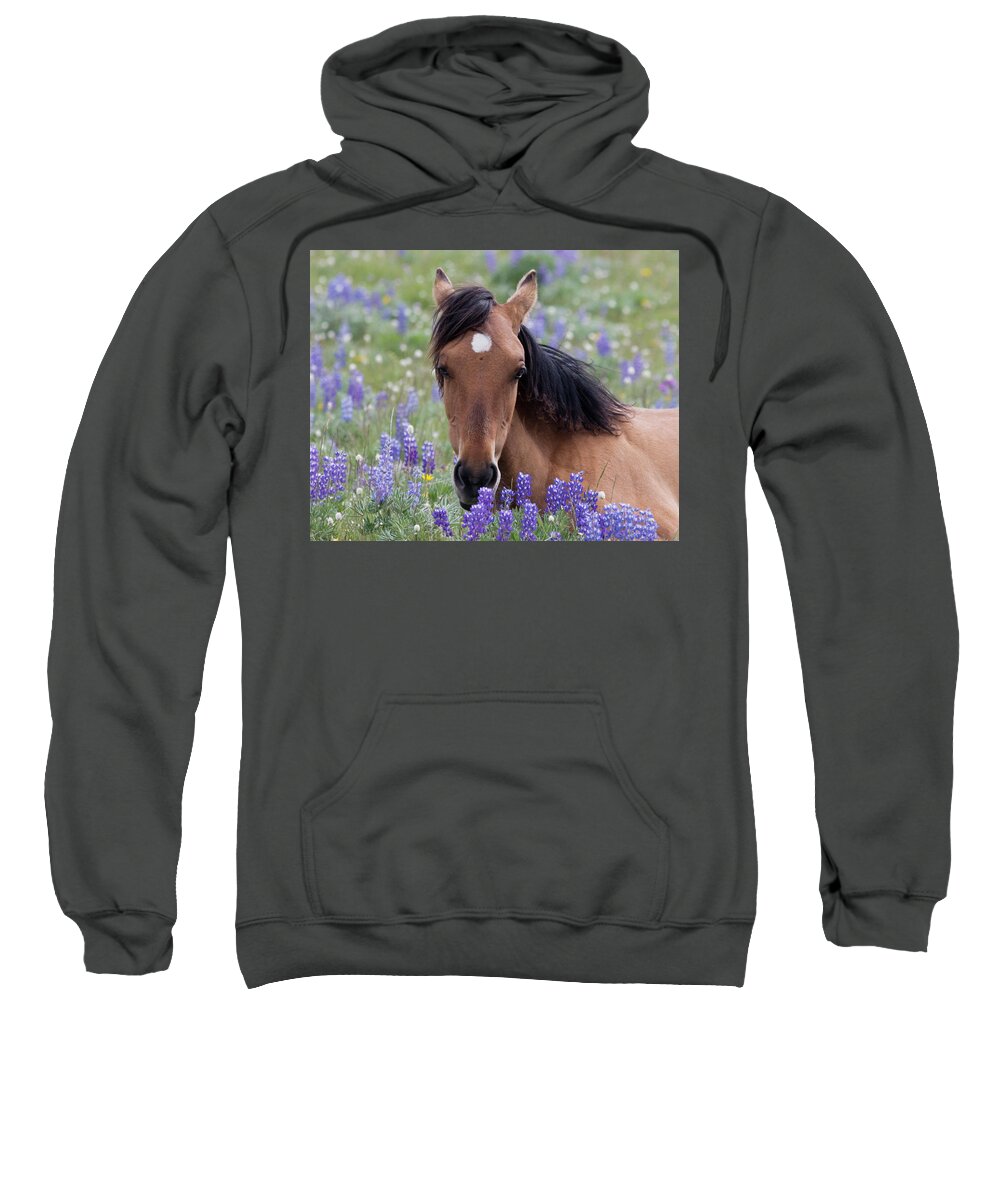 Wild Horse Sweatshirt featuring the photograph Wild Horse Among Lupines by Mark Miller