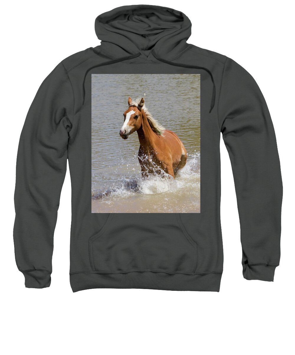 Wild Horse Sweatshirt featuring the photograph Wild Horse Splashing at the Water Hole by Mark Miller