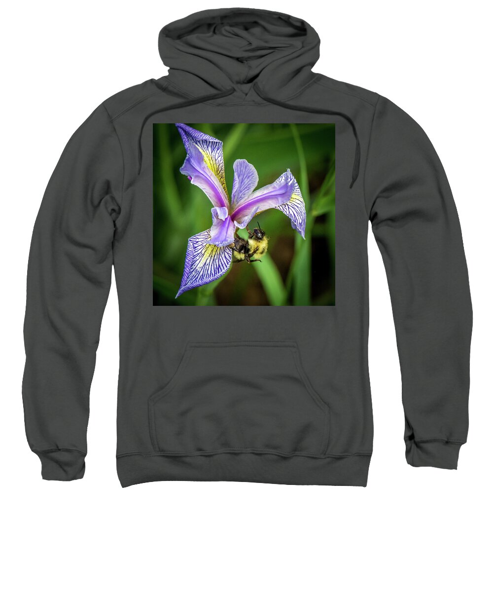 Wild Iris Sweatshirt featuring the photograph Wild Iris With Bee by Paul Freidlund
