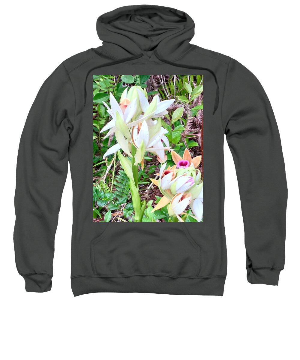 Wild Orchids Pastel 2 Flowers Of Aloha Sweatshirt featuring the photograph Wild Orchids in Pastel 2 by Joalene Young