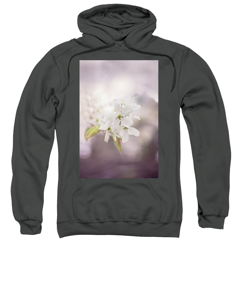 Wild Plum Tree Blossom Sweatshirt featuring the photograph Wild Plum Tree Blossom by Gwen Gibson