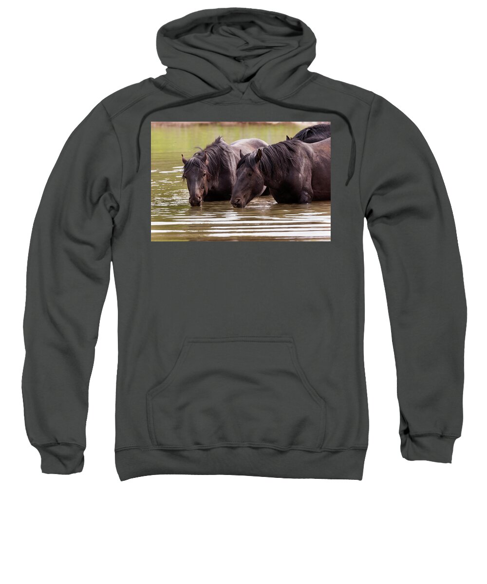 Mark Miller Photos Sweatshirt featuring the photograph Wild Stallions at the Water Hole by Mark Miller