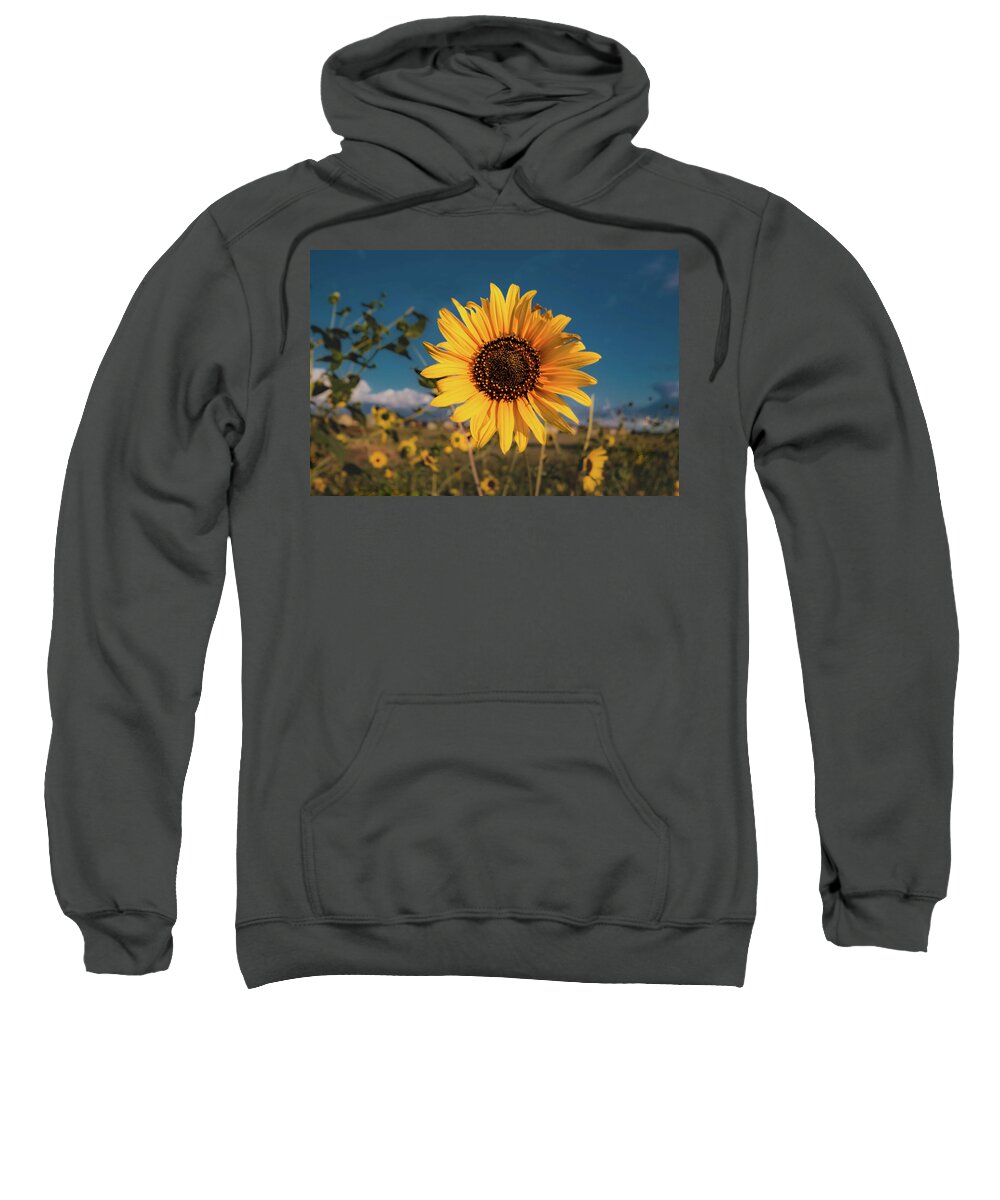 Jay Stockhaus Sweatshirt featuring the photograph Wild Sunflower by Jay Stockhaus