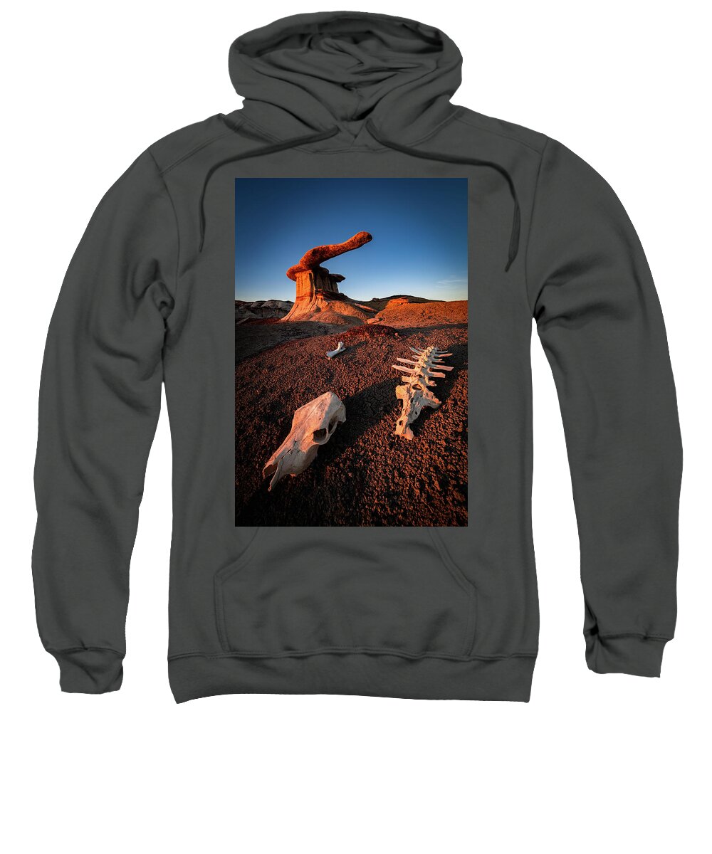 Amaizing Sweatshirt featuring the photograph Wild Wild West by Edgars Erglis