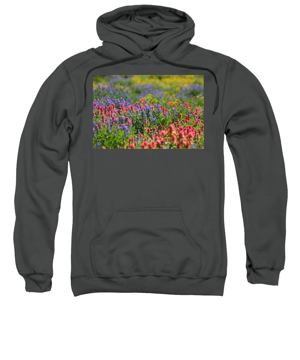Wildflower Sweatshirt featuring the photograph Wildflower Meadow and Hummingbird by Brett Pelletier