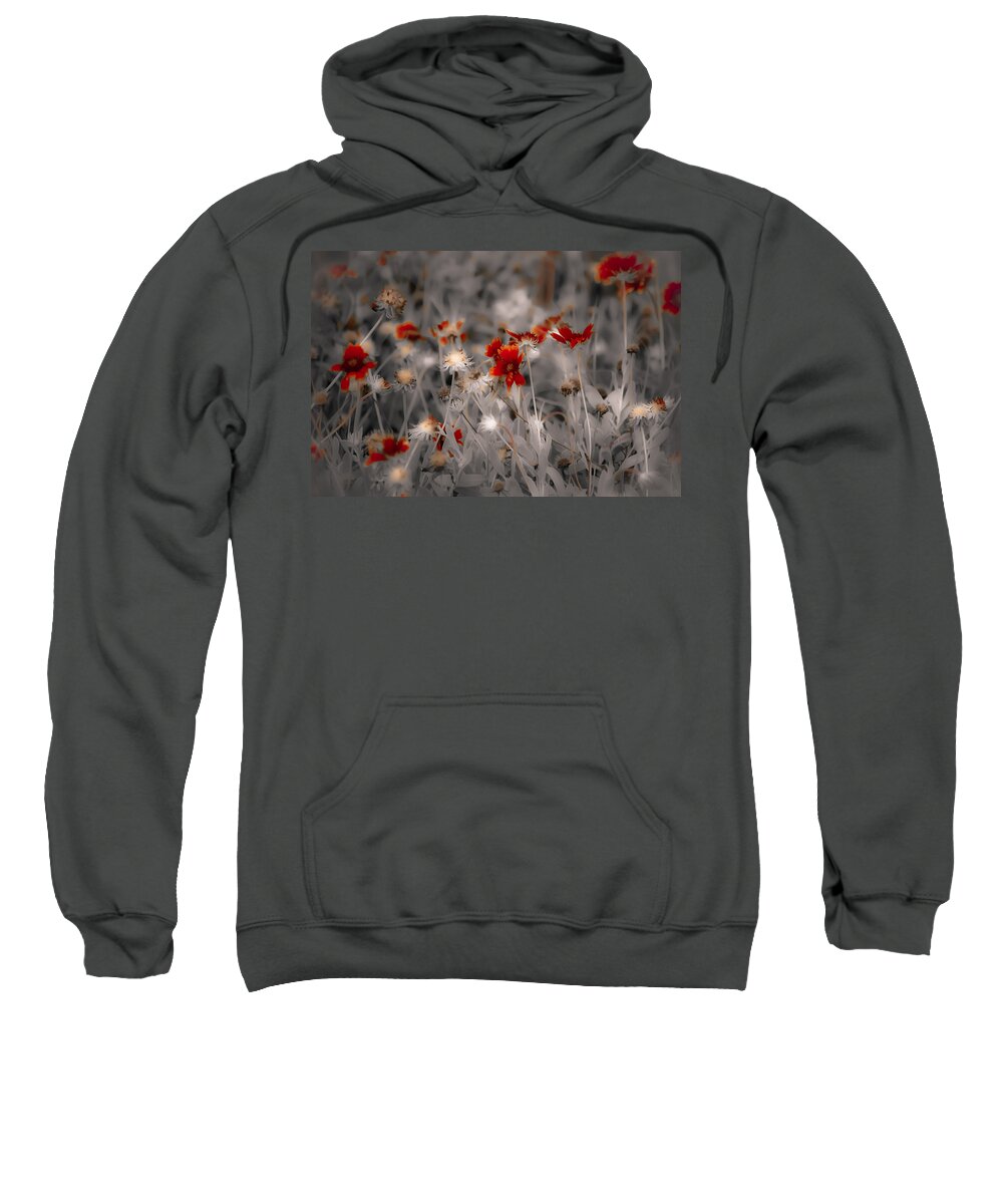 Wildflowers Sweatshirt featuring the photograph Wildflowers of the Dunes by DigiArt Diaries by Vicky B Fuller