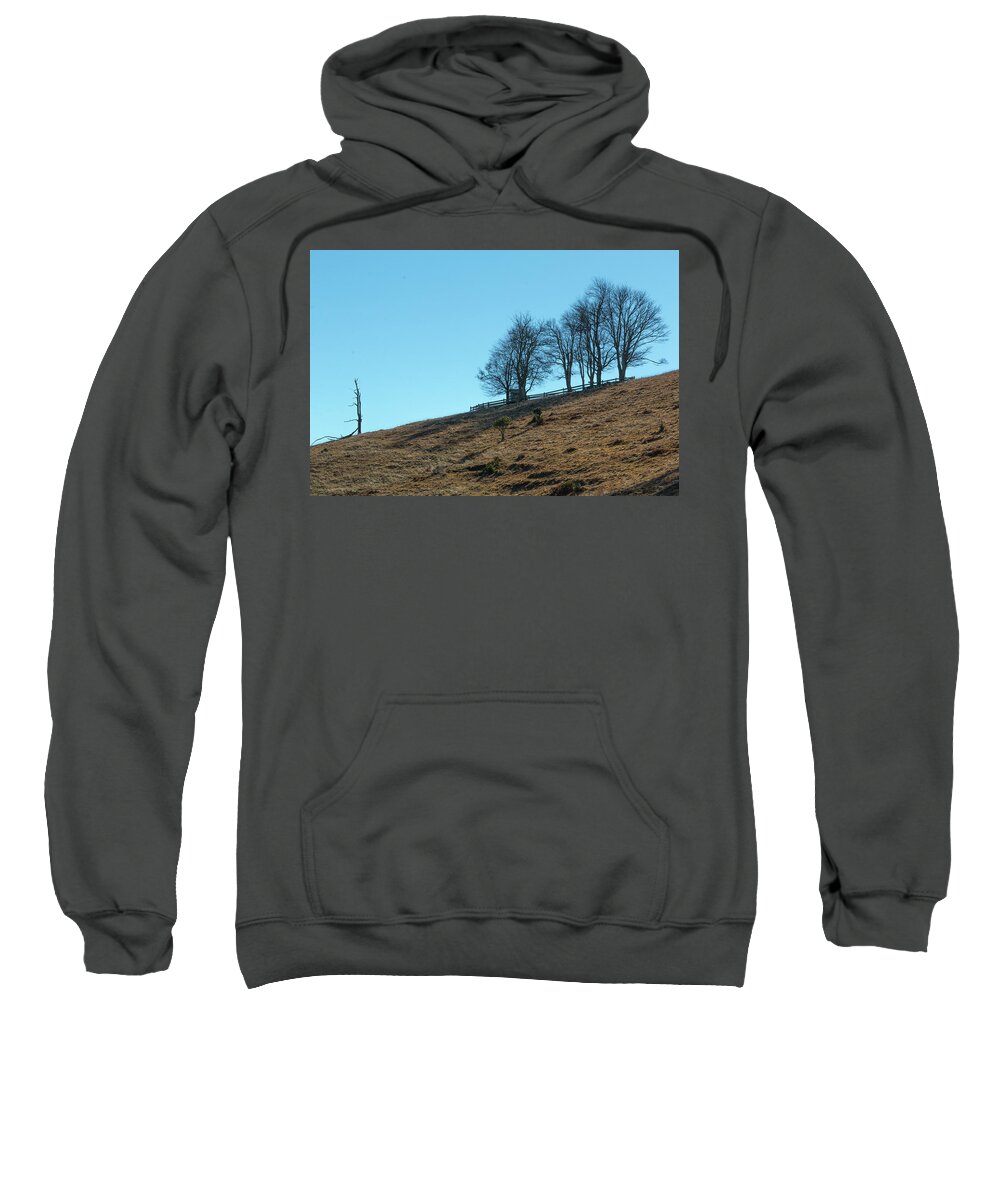 Windswept Sweatshirt featuring the photograph Windswept Trees - December 7 2016 by D K Wall