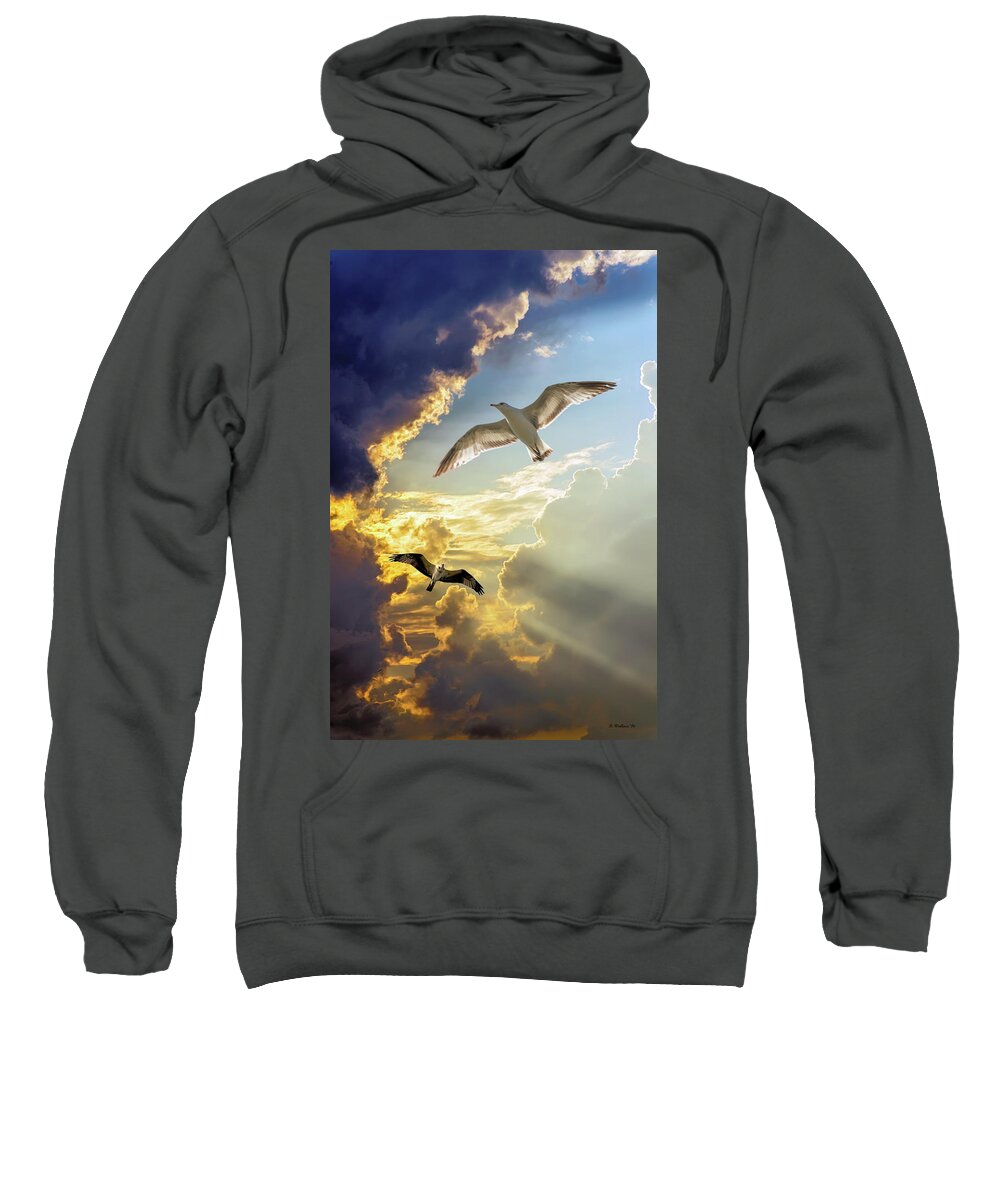 2d Sweatshirt featuring the photograph Wings Against The Storm by Brian Wallace