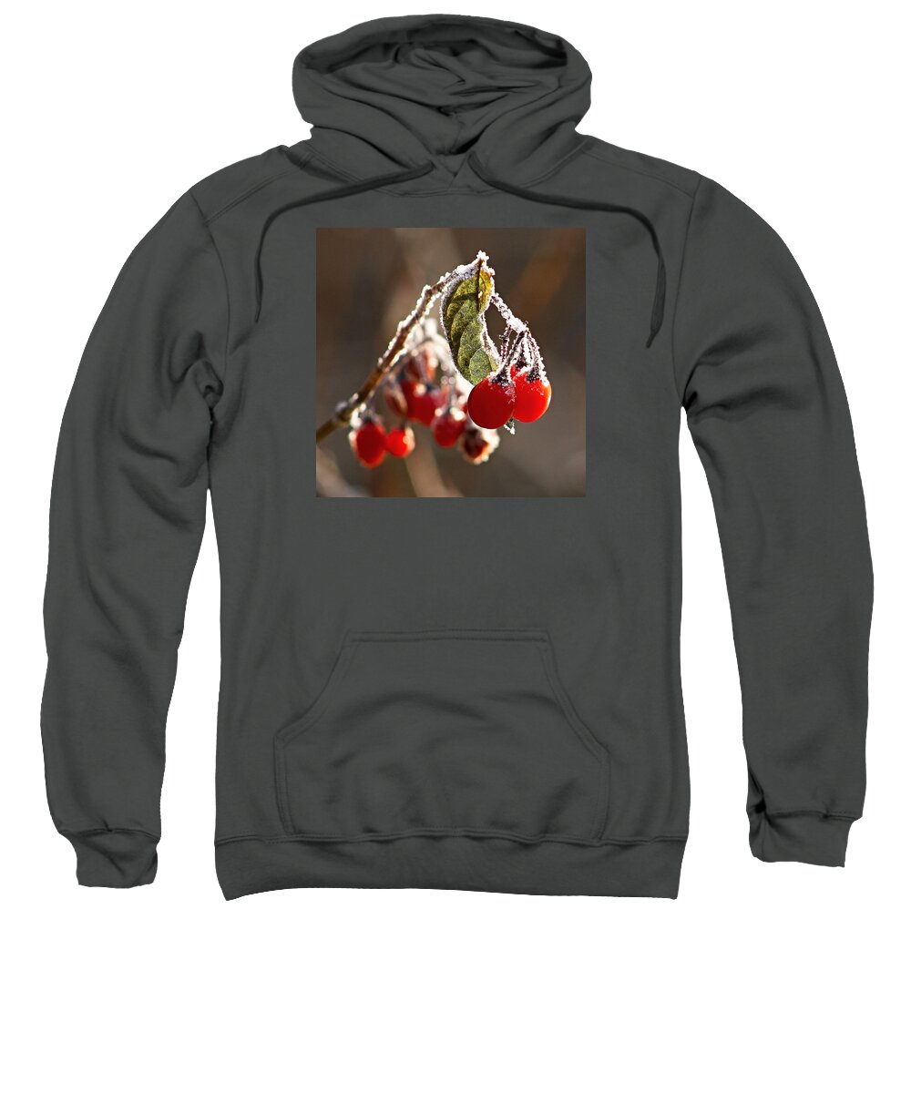 Berry Sweatshirt featuring the photograph Winter berries by Antonio Ballesteros