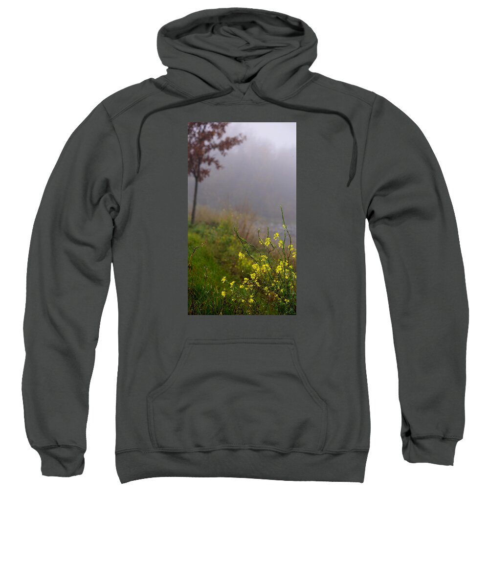 Fog Sweatshirt featuring the photograph Winter Cress by Brooke Bowdren