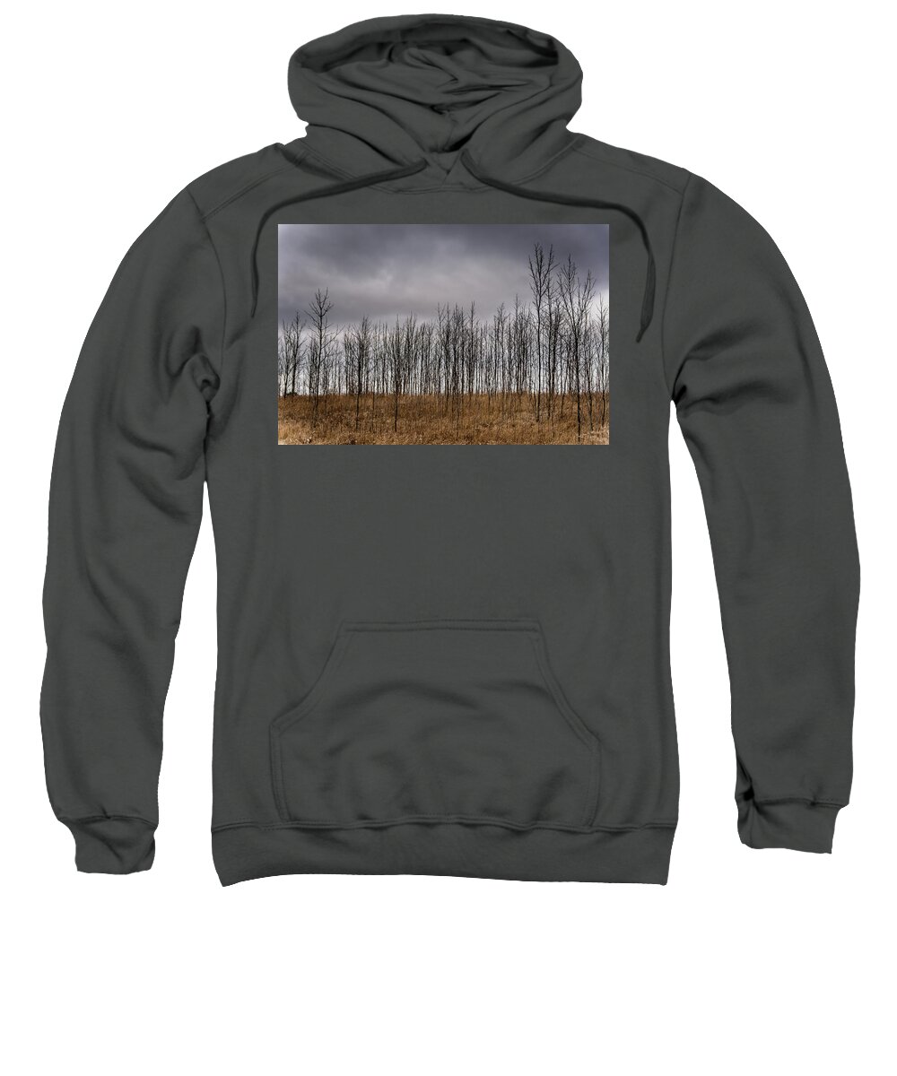 Park Sweatshirt featuring the photograph Winter dry by SAURAVphoto Online Store