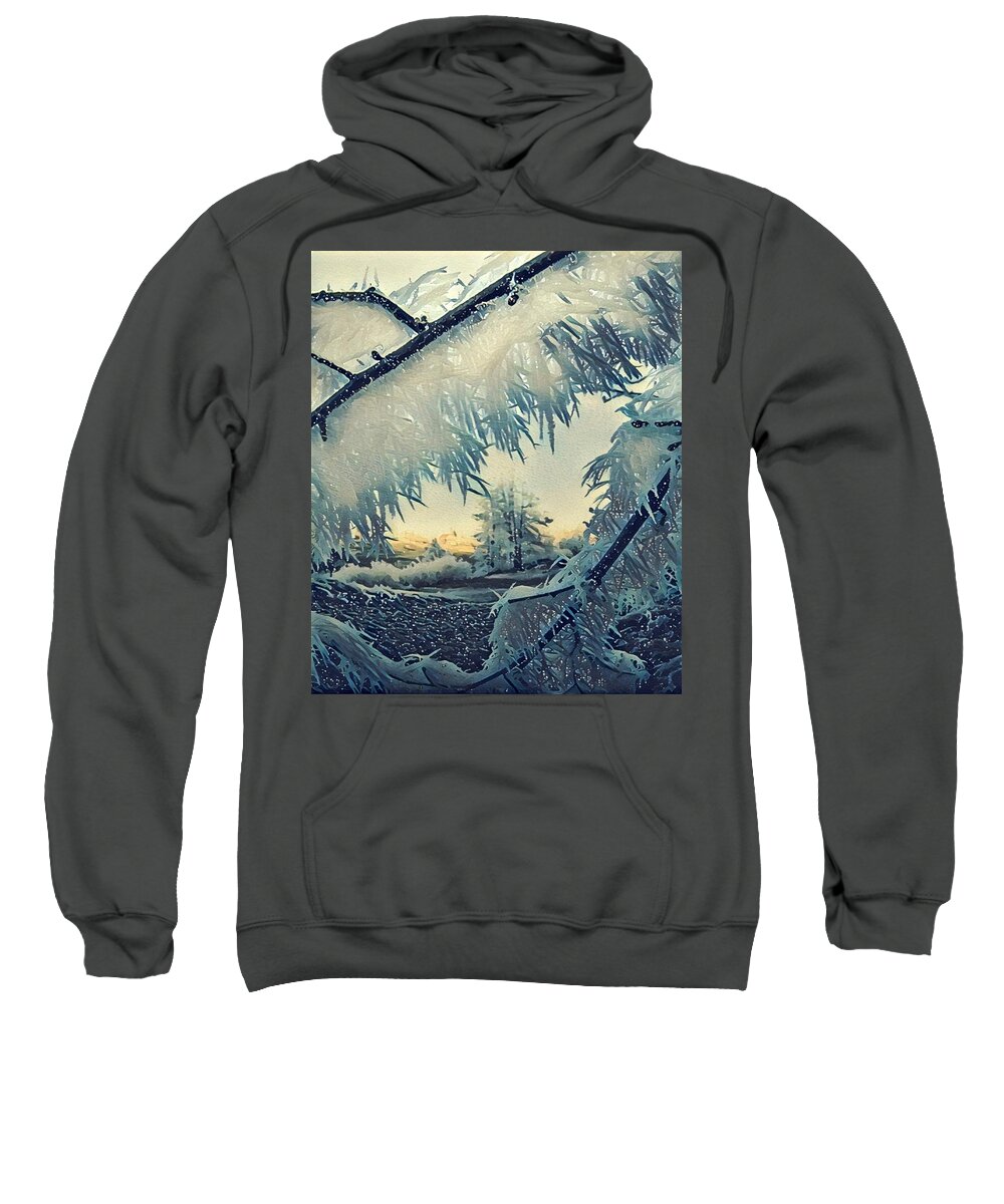 Colette Sweatshirt featuring the photograph Winter Magic by Colette V Hera Guggenheim