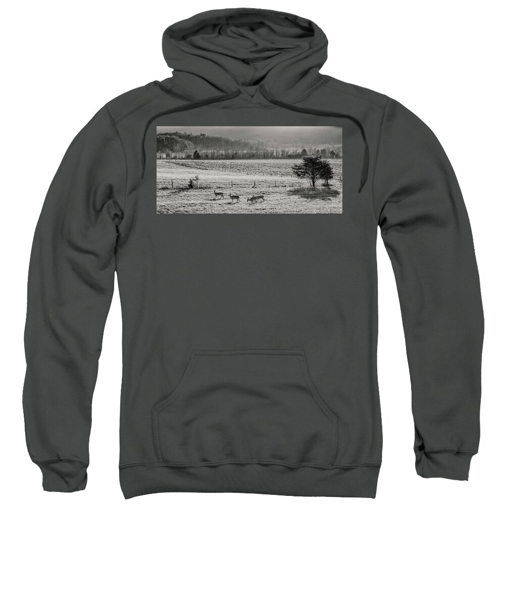 Winter Sweatshirt featuring the photograph Winter Morning Moment by Randall Evans
