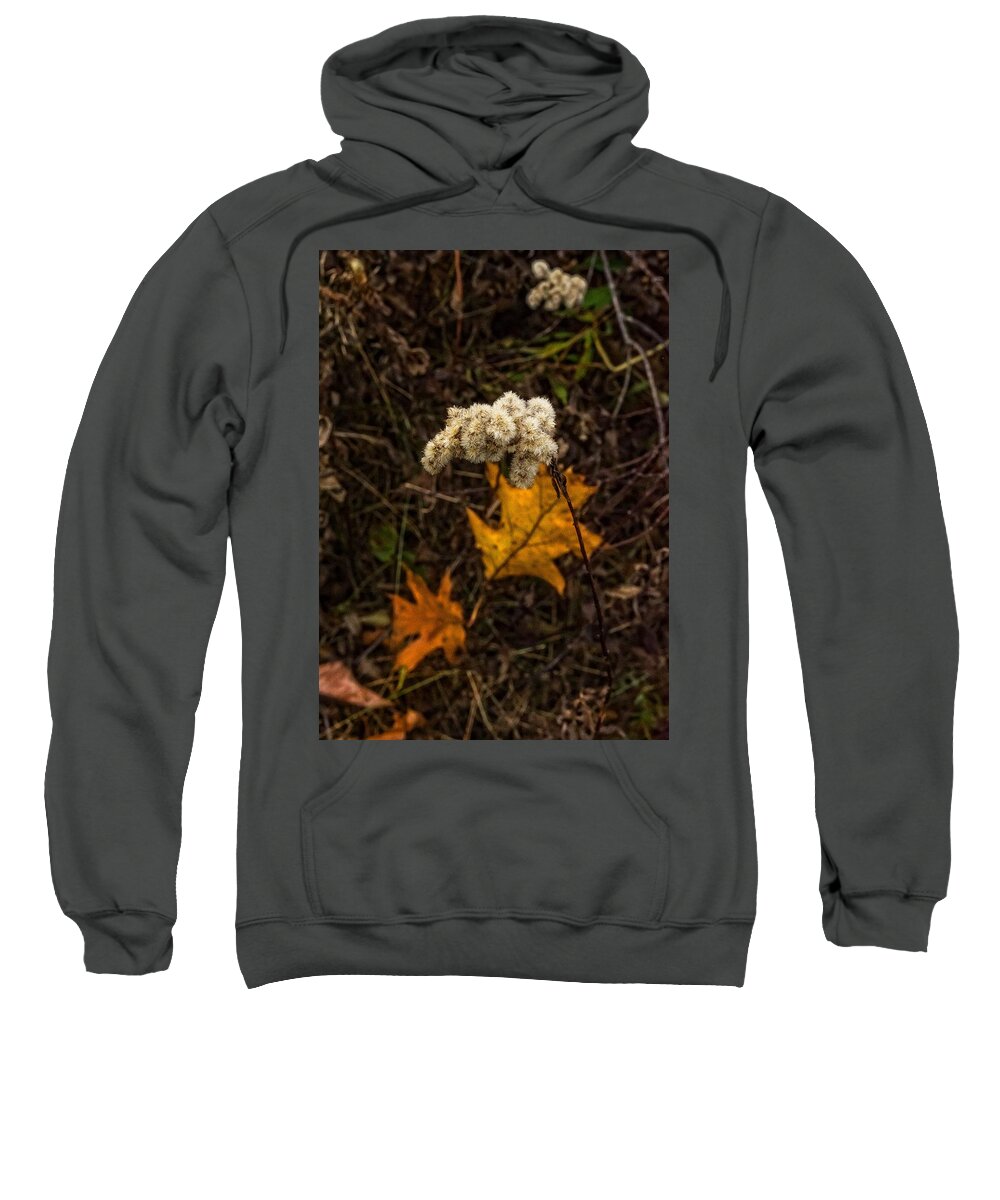  Sweatshirt featuring the photograph Wooly Flowers by Robert Hayes