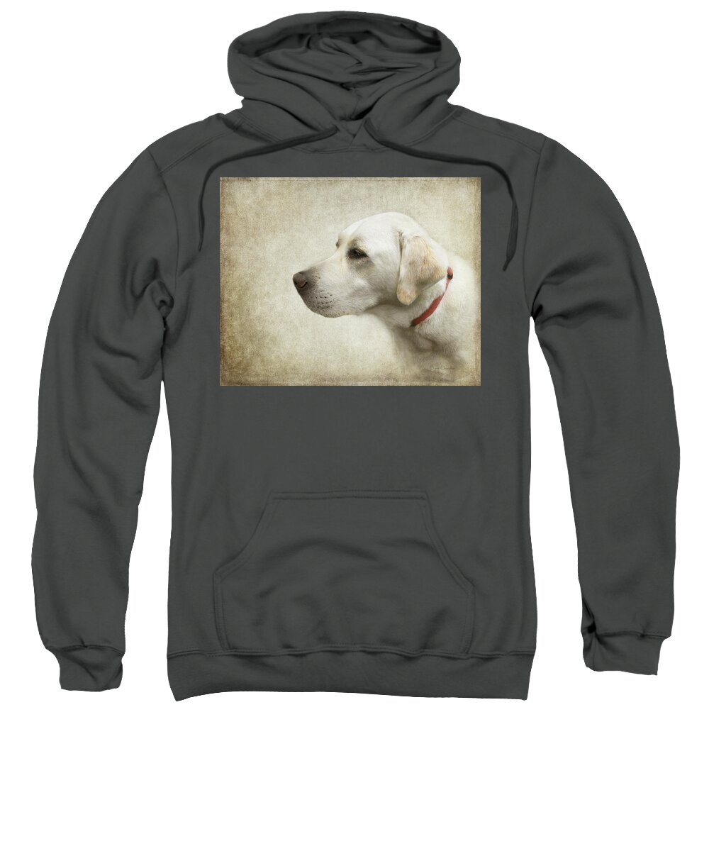 Labrador Retriever Art Sweatshirt featuring the photograph Wrigley by Diane Chandler