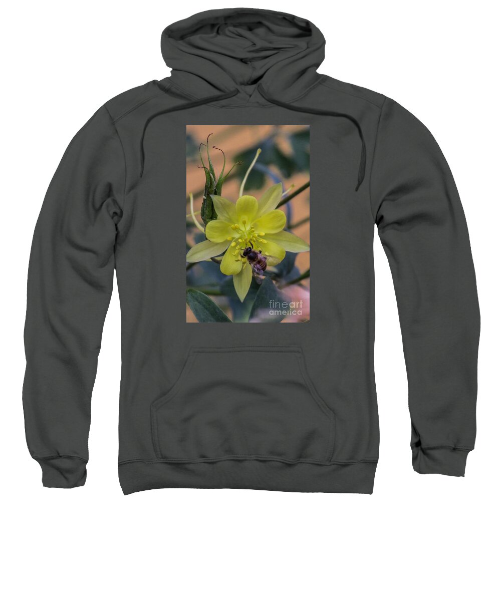 Nature Sweatshirt featuring the photograph Yellow Flower 5 by Christy Garavetto