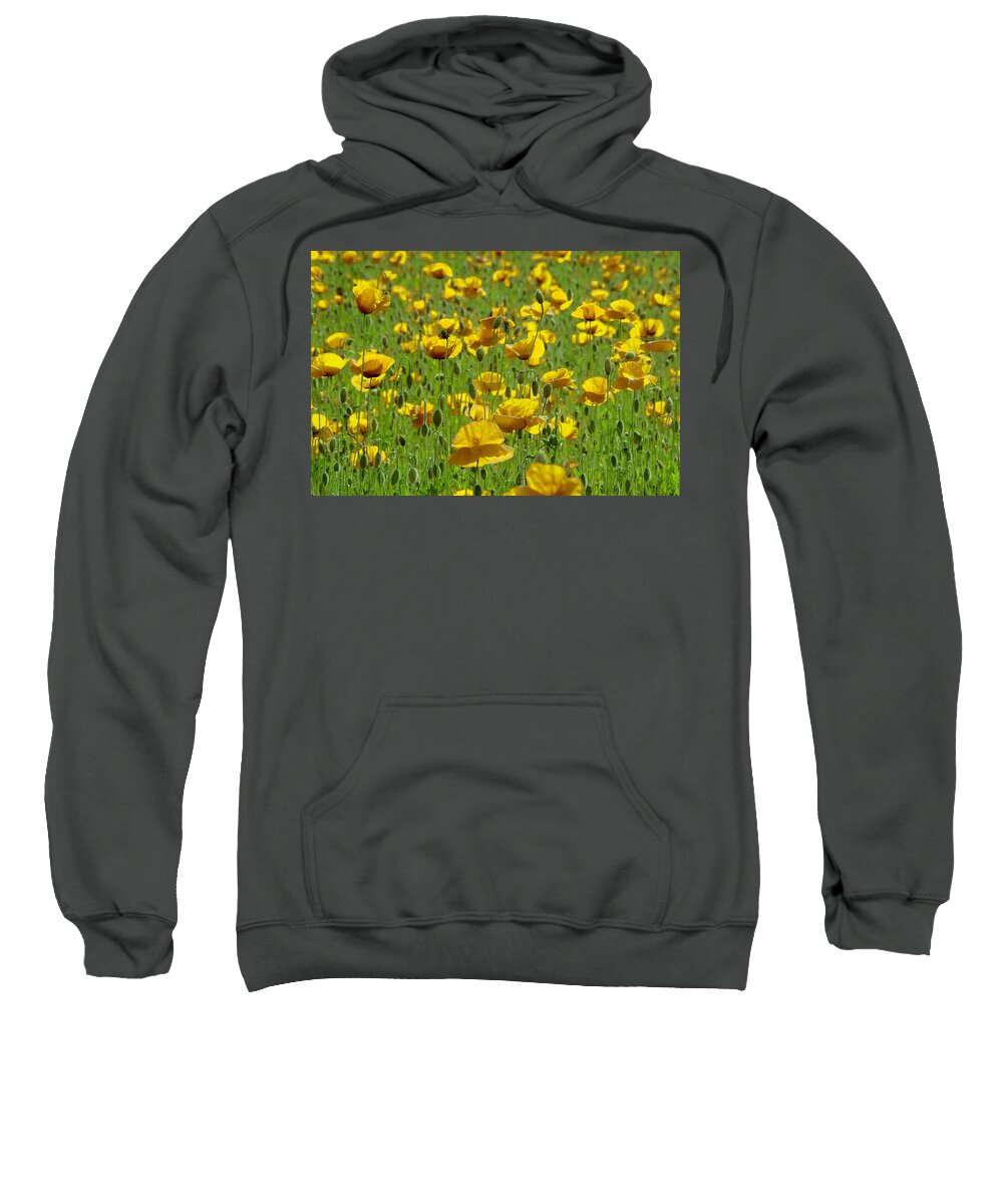Composite Sweatshirt featuring the digital art Yellow Poppy Field by Wolfgang Stocker