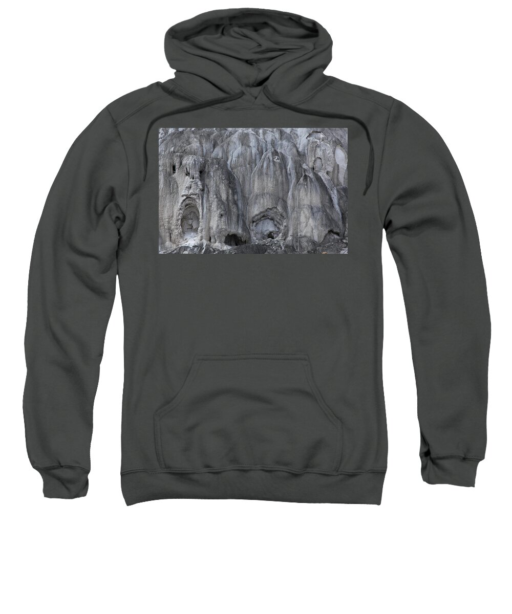 Texture Sweatshirt featuring the photograph Yellowstone 3683 by Michael Fryd