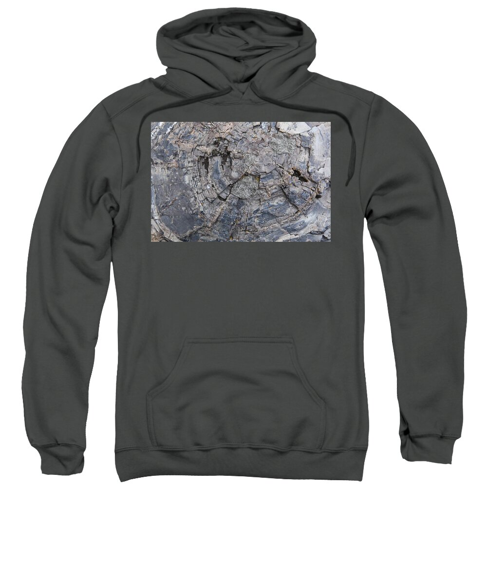 Texture Sweatshirt featuring the photograph Yellowstone 3707 by Michael Fryd