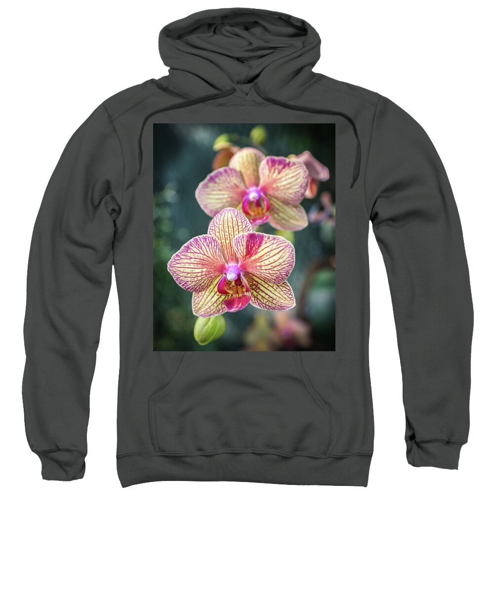 Orchid Sweatshirt featuring the photograph You're So Vain by Bill Pevlor