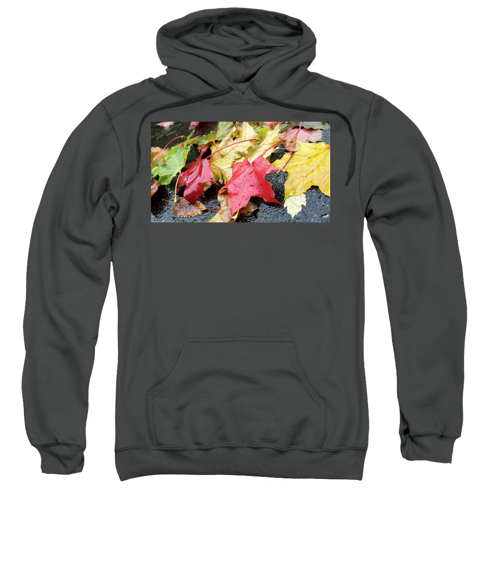 Canada Sweatshirt featuring the photograph Foliage #1 by Nick Mares