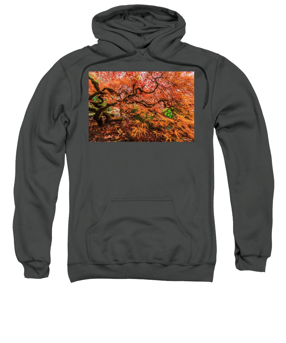 Photography Sweatshirt featuring the photograph Japanese maple #1 by Philip Cho